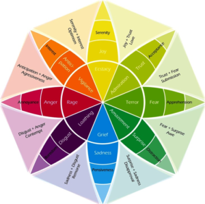 Emotional regulation: Emotions as indicators and not dictators