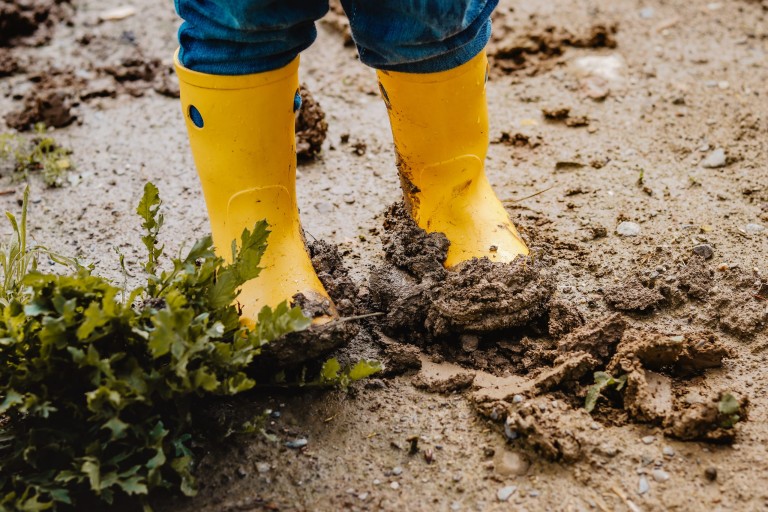 Child legs in yellow muddy rubber boots on wet mud.  Baby playing with dirt at rainy weather. Gardening at spring, weather concept