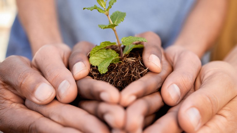Plants, people and hands of teamwork, support and charity for earth day, sustainability or climate change. Environment, group and community with leaf growth in soil, sand and nature of ngo volunteers