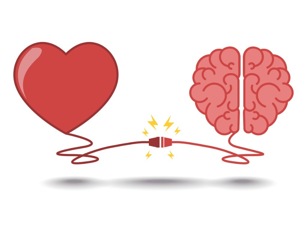 brain-and-heart-interactions-concept-best-teamwork-vector-id536652254